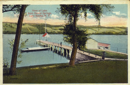 img-bimini_springs.jpg img-bimini_springs.jpg