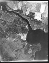 img-fairchild9382.jpg img-fairchild9382.jpg
