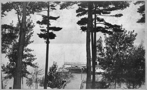 img-grove_springs_landing.3.jpg