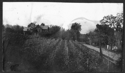 img-hoover_residence.1900.jpg