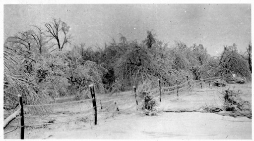 img-ice_storm.2.jpg