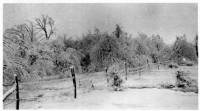 img-ice_storm.2.jpg img-ice_storm.2.jpg