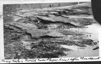 img-north_cove.jpg img-north_cove.jpg