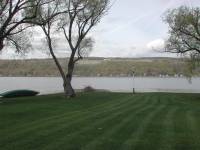 img-the_elms.22.jpg img-the_elms.22.jpg