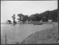 img-the_elms.5.jpg img-the_elms.5.jpg