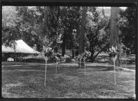 img-the_elms_house.16.jpg img-the_elms_house.16.jpg