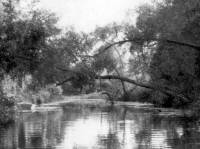 img-tobehanna_reservoir.1957.jpg img-tobehanna_reservoir.1957.jpg
