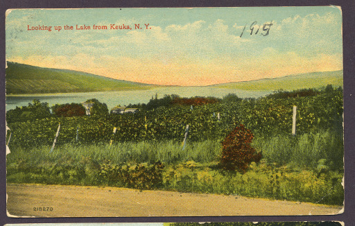 img-unidentified_vineyard.jpg